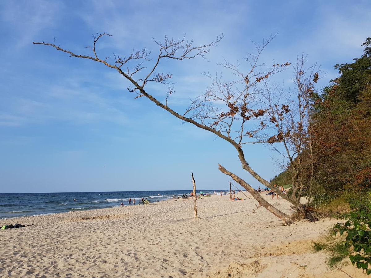 Eden Domki Kolczewo Ngoại thất bức ảnh